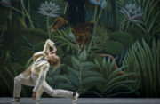 Carnival of the Animals (Davies, 2008). Photo © Balint Hrotko.