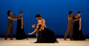 Roses (Taylor, 1985/2011). Photo © Toni Nandi