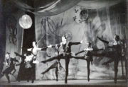 Fireflies (Gore, 1949). Photo © J.D. O'Callaghan. RDC/PD/01/144/1