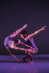 Brenda Lee Grech and Liam Francis in Rambert's 2019 revival of PreSentient (McGregor, 2002), Photograph © Johan Persson