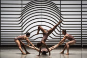 Symbiosis (Foniadakis, 2017). Photo © Stephen Wright.