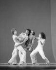 tutti-frutti (Falco, 1973). Photo © Mike Humphrey. RDC/PD/01/246/1