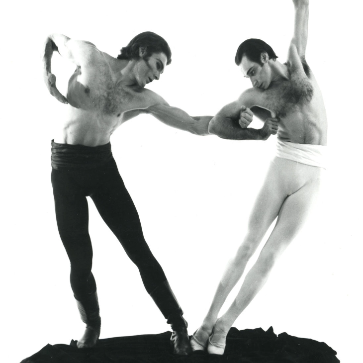 Two male ballet dancers are captured mid-performance. One dancer is on the left in dark tights, and the other is on the right in light tights, both striking dynamic poses against a plain backdrop.